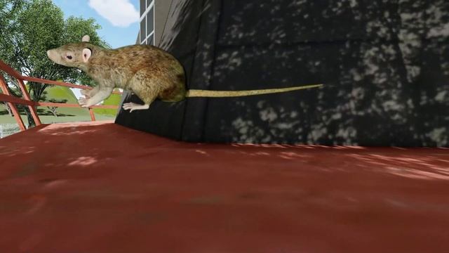 CAT GAMES l Cat game catch the bigmouse  | CAT TV | 20min. (side view)