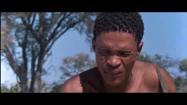 #34 Чувственное познание