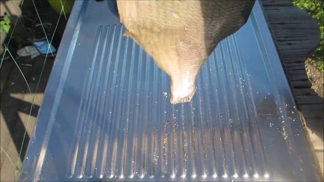 Как приготовить язя. Копченый язь. Язь горячего копчения, просто и очень вкусно