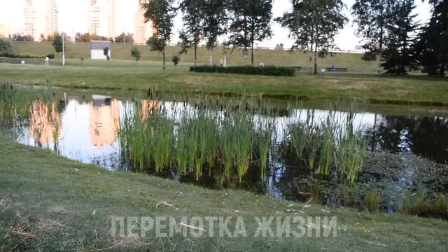 ОЙ, ТОЛЬКО НЕ ТУДА... А ХОТЯ... ДАВАЙ ПОПРОБУЕМ... Истории из жизни людей Аудио рассказы слушать