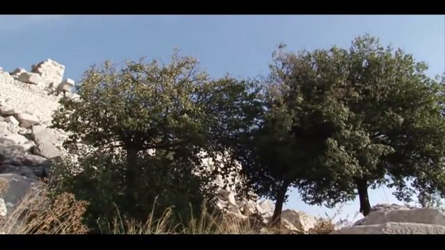 Невероятно!!! Найдены артефакты самой древней цивилизации земли .Тайна исчезнувшей цивилиз