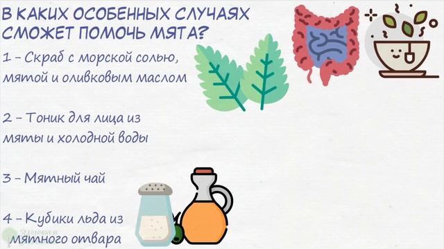 Даже слабый мятный чай выскребает из организма 100 болезней: сердце, желудок ….