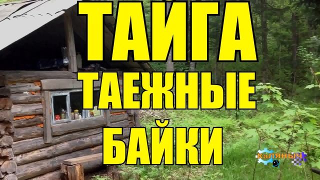 ТАЕЖНЫЕ БАЙКИ | РАССКАЗЫ ОХОТНИКА | ТАЙГА 2 из 2