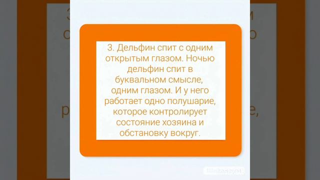 Удивлялки от мальчика Эмика