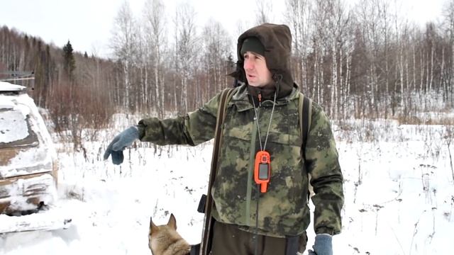 Охота на лося и медведя в тайге по снежкам