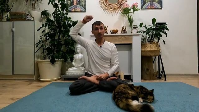 Прямой эфир. Ответы на вопросы по практике йоги.