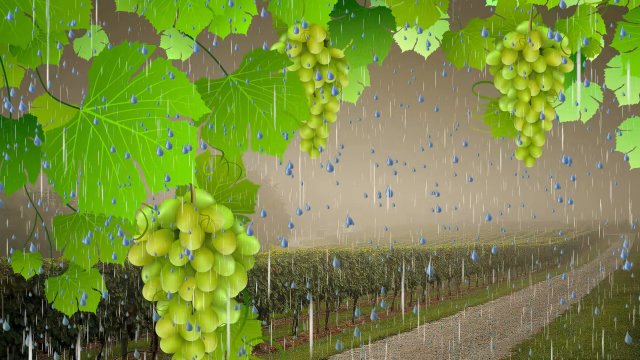 ☔️ Шум дождя для сна 3 часа ☔️ Сильный, целебный дождь в виноградной беседке для релаксации ?