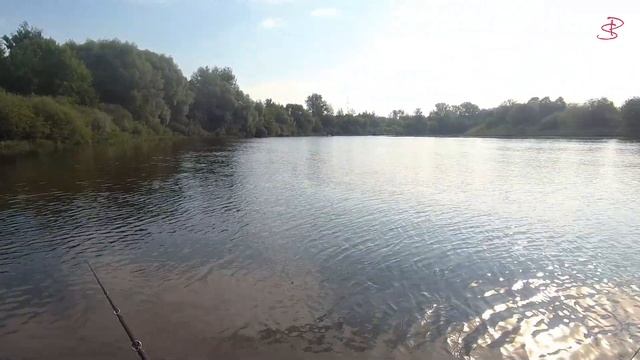 Лодка Kitt Boats 330 НДНД
