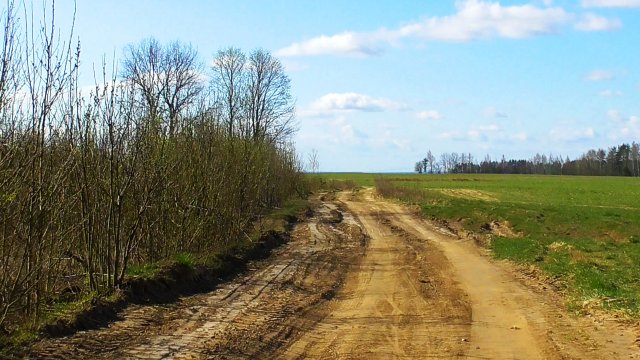 Звуки живой природы: пение жаворонков ранней весной.