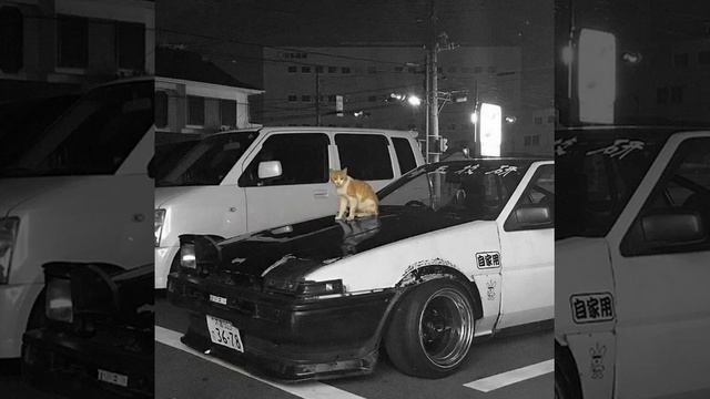 Kitty Phonk 1 Hour