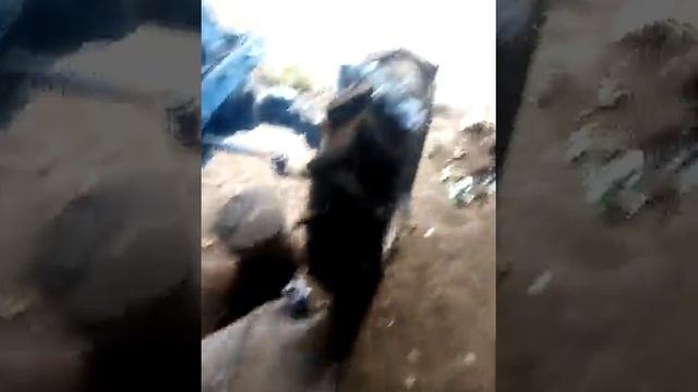 МТЗ . Не много о сделанном и регулировка давления гидравлики.
