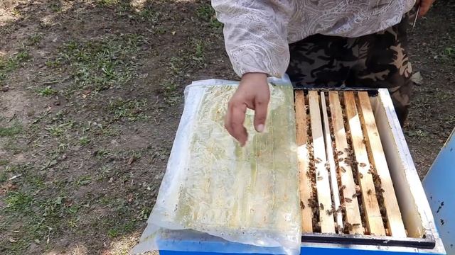 Изоляция Маток на Практике!!!