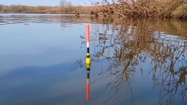 РЫБАЛКА НА КАРАСЯ ПОПЛАВОЧНОЙ УДОЧКОЙ. Карась просыпается