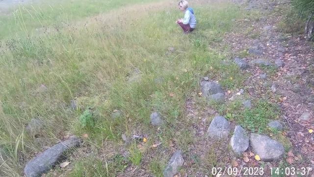 Север 2023 (1 день)