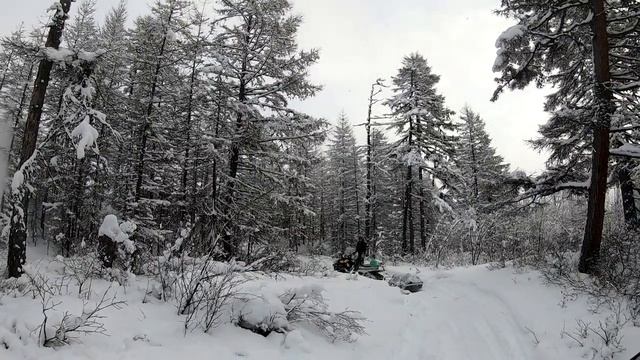 снегоход стелс викинг 800  снова в деле