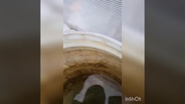 реальная жизнь и показываем как люди какают