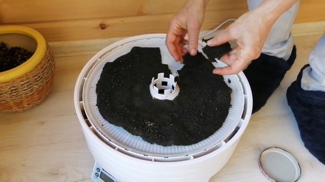 #137 Как приготовить листы нори и чипсы из обычной травы