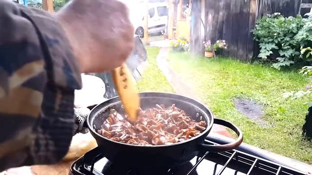 РЫЖИКИ ЖАРЕНЫЕ С КАРТОШКОЙ РЕЦЕПТ ПРИГОТОВЛЕНИЯ ЛЕСНЫХ ГРИБОВ РЕЦЕПТЫ СЮФ