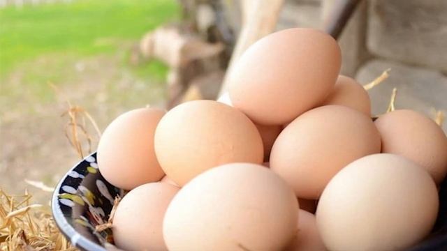 Фермерские продукты с доставкой на дом | Экофренды: деревенские продукты в каждый дом – Добры канал