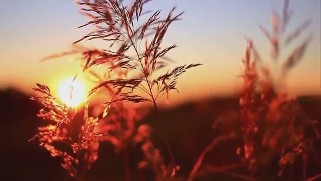 Тропинка старая Муз А Морозова,ст Л Дербенева.mp4