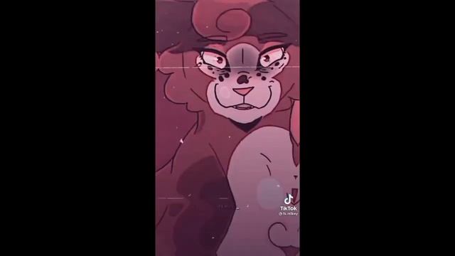 Подборка из Тик Тока коты воители #5