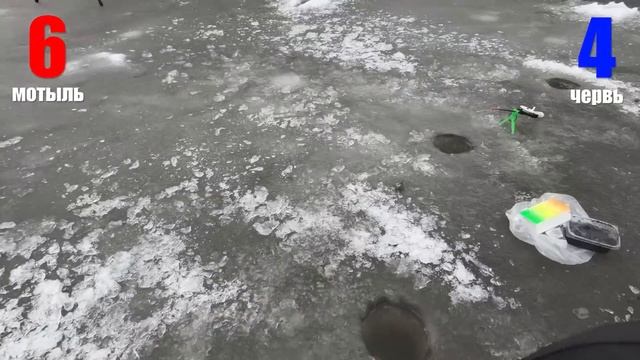 Битва за плотву ЧЕРВЬ VS МОТЫЛЬ. Рыбинка, рыбалка