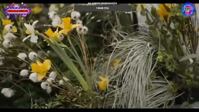 ЖАРКИЕ ИСТОРИИ ИЗ ЖИЗНИ / РЕАЛЬНЫЕ ИСТОРИИ