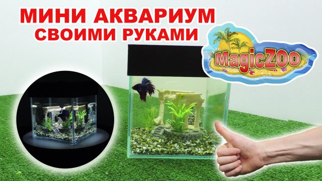 Аквариум своими руками для рыбки петушка. Крышка для аквариума своими руками! ПОДРОБНО И ПОНЯТНО!