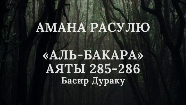 Амана Расулю "Сура аль-Бакара" Аяты 285-286 | Красивое Чтение Корана | Басир Дураку