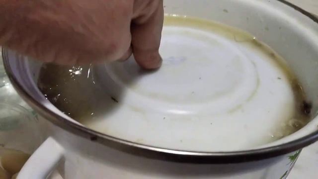 Волнушки соленые горячим способом.