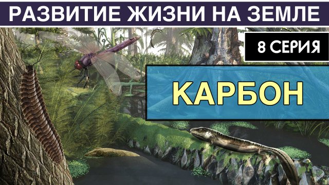 КАМЕННОУГОЛЬНЫЙ ПЕРИОД. Развитие жизни на Земле. 8 серия | Эпоха гигантизма. Амфибии и амниоты