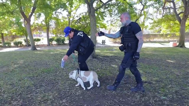 4 SECRET Rooms You'd NEVER Find!