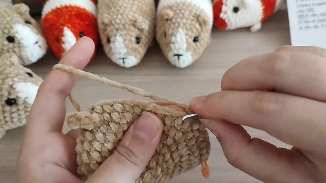 Морская свинка крючком / мк крючком / вязаная морская свинка