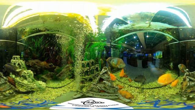 Аквадизайн Ярославль Аквариум 3