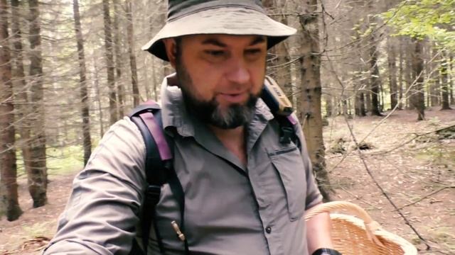 ТРЮФЕЛЬ В ПОДМОСКОВЬЕ?? Легко! Лисички ГИГАНТЫ? и первые белые грибы!