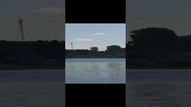 VID_20230716_090902.mp4
