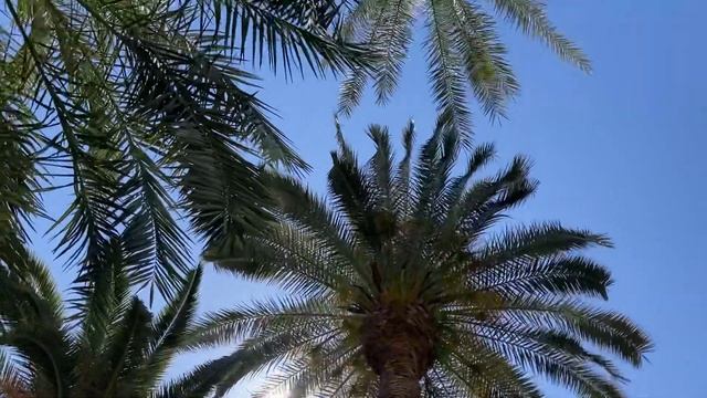 Аликанте #Аликанте #испания #alicante #españa #spain #postiget