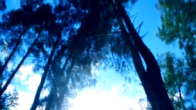 Удивительное рядом / Мир глазами ребенка (соц. ролик 2014)