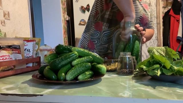 БОЧКОВЫЕ ОГУРЦЫ | СОЛИМ ПО БАБУШКИНОМУ РЕЦЕПТУ | САМЫЕ ВКУСНЫЕ И ХРУСТЯЩИЕ ОГУРЦЫ