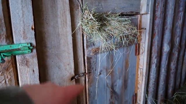 КУПИЛ 2 ДОМА В ДЕРЕВНЕ _ МЫ ЭТОГО ЖДАЛИ ДАВНО! ЦИВИЛИЗАЦИЯ ИДЁТ К НАМ!
