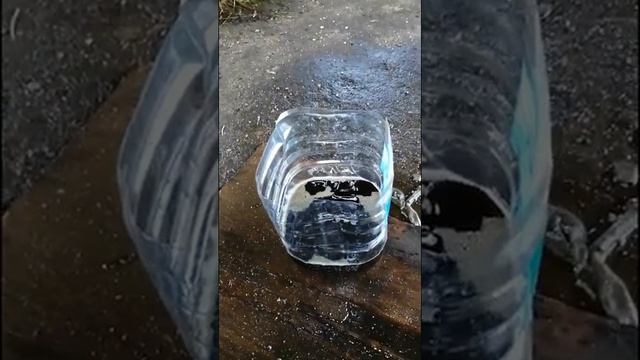 Замена масла в угловом редукторе / раздатке Шкода Кодиак