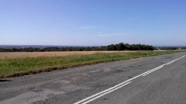 Поле.mp4