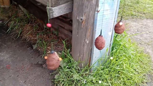 По водоёмам Кузбасса🎣 "Чусовитино"#рыбалка #fishing  #улов #Чусовитино #тренды #щука  #отдых #карп