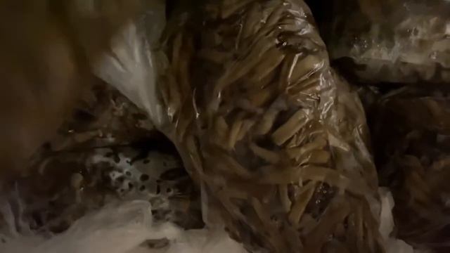 Лайфхак??Что я делаю с ножками опят!