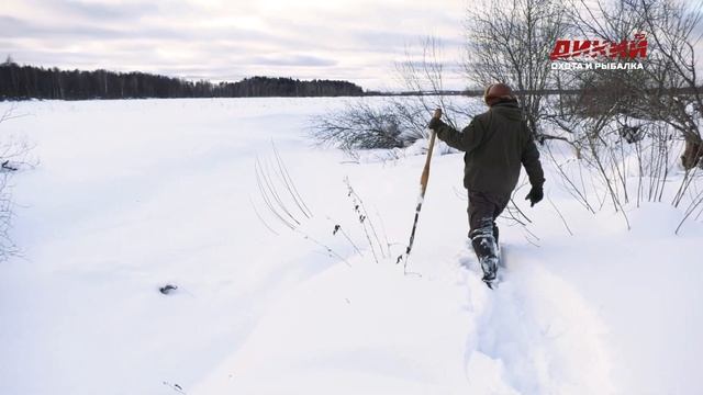 Зимняя ловля бобра на приманку. Звероловы.