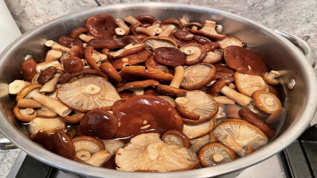 ЗАСОЛКА ГРИБОВ | Пошаговый рецепт, как солить грибы в домашних условиях на зиму