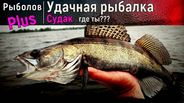 В поисках клыкастого или все идет не так как планировалось