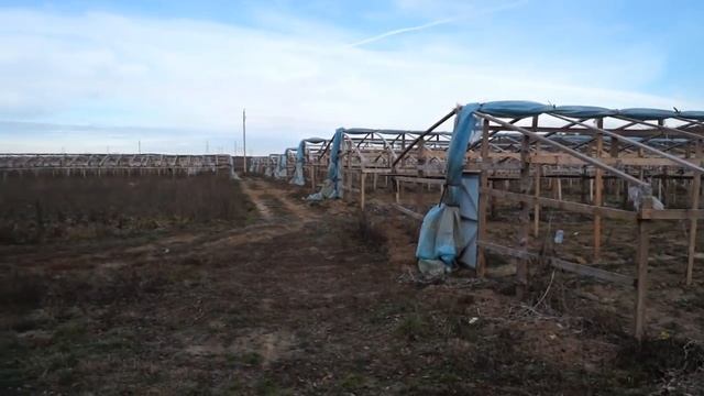 Дешевая китайская теплица. Теплица своими руками.