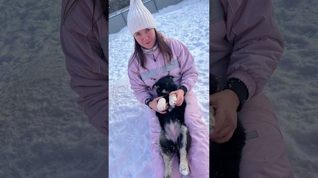 Зима в приюте