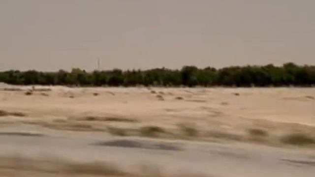 История математики 1 Язык Вселенной